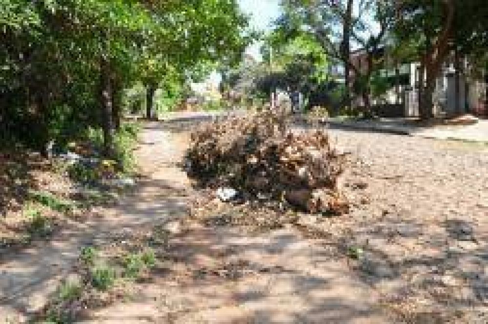 Piden operativos de limpieza en la Chacra 85