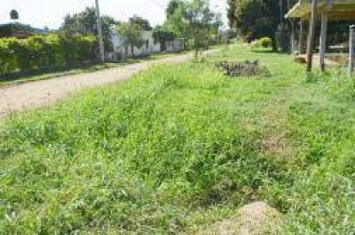 Piden el entubamiento de canaletas en la chacra 84