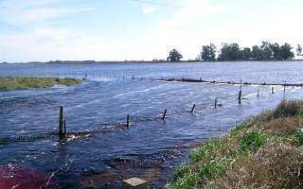Inundaciones: Oficializan el estado de emergencia agropecuaria