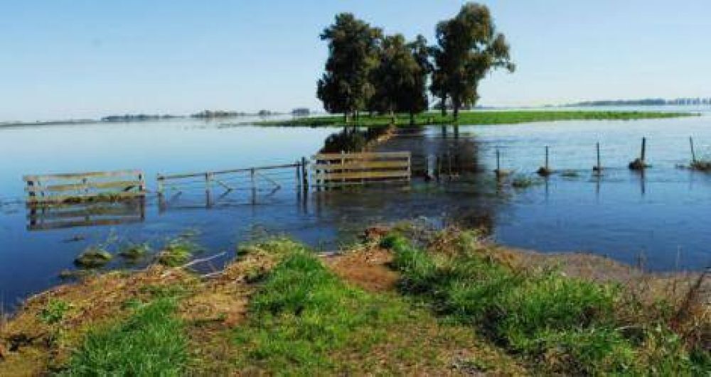 Decretaron emergencia agropecuaria para San Pedro y otros municipios