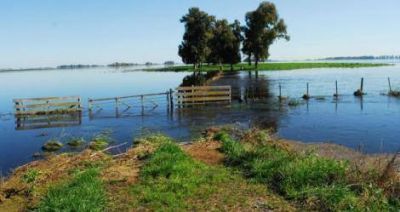 Decretaron emergencia agropecuaria para San Pedro y otros municipios