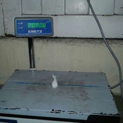 Aseguran que en la Provincia hay m�s droga en circulaci�n