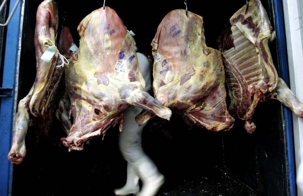 Carne: denuncian a abasteros por maniobra de evasin fiscal