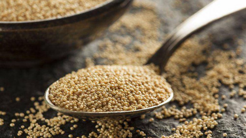 Diez semillas con poderes nutritivos