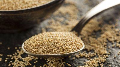 Diez semillas con poderes nutritivos