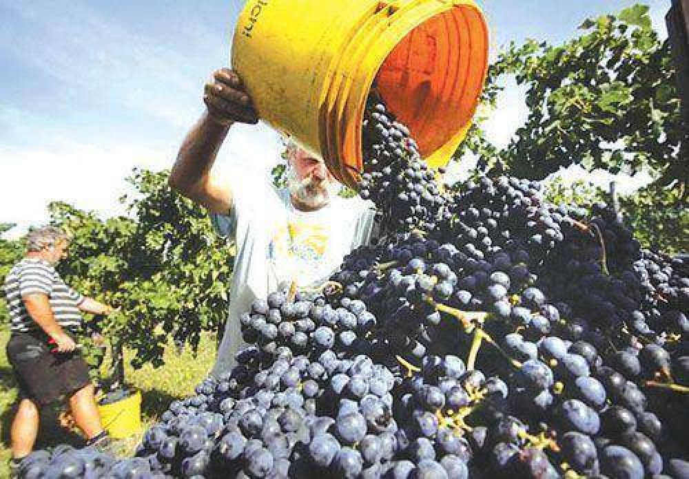 Buscan crear por ley un fondo compensador vit�cola