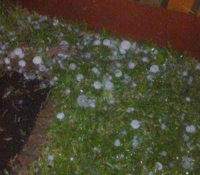 Cerca de mil viviendas fueron afectadas por el temporal