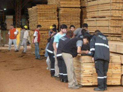 La Afip encontr� trabajadores en negro en una empresa forestal de Eldorado