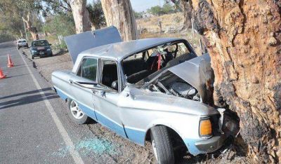 Un auto se estrelló contra un árbol: el conductor y 3 niños heridos