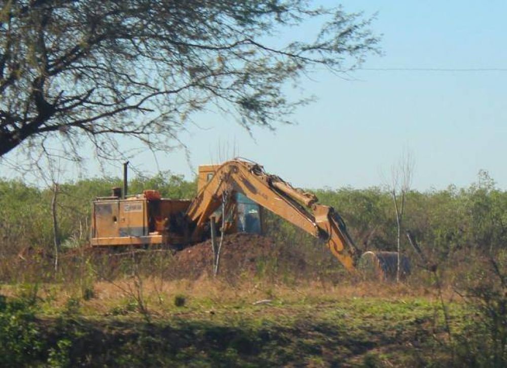 Piden al Gobernador que se deje de construir en los humedales de Victoria 