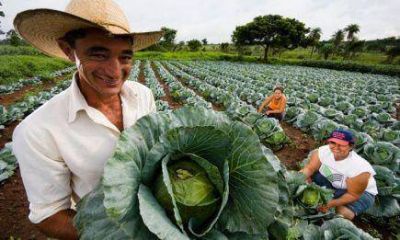 La agricultura familiar ser� el modelo productivo en Misiones