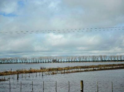 Se conform� un comit� operativo de emergencia h�drica en la provincia