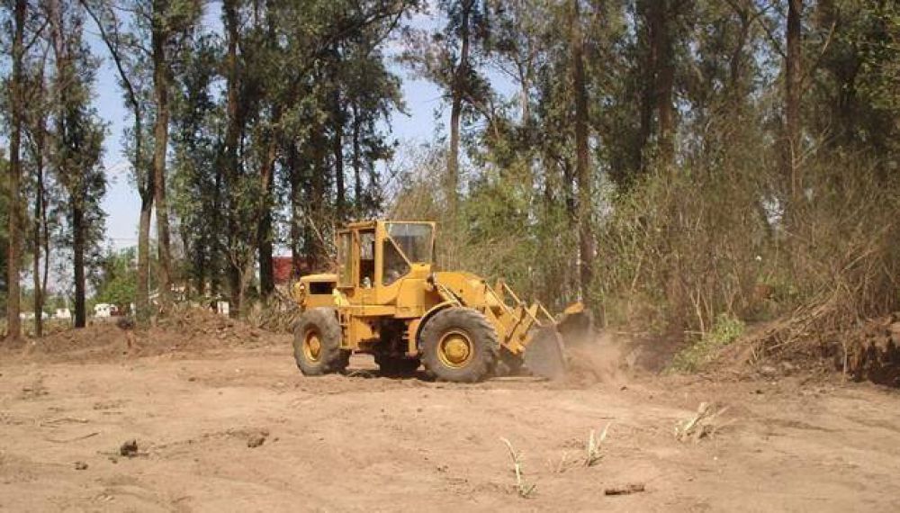 Sigue bajando el desmonte de bosque nativo en C�rdoba