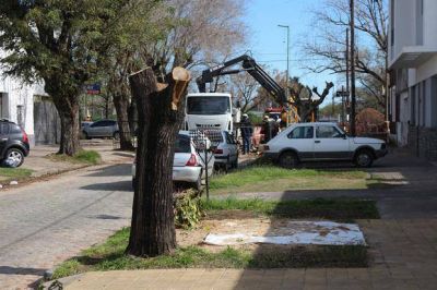 Avanza electroducto subterr�neo que va de Ensenada hasta Tolosa