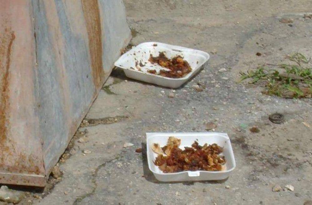 Preocupaci�n por varios casos de perros envenenados en dos zonas de la ciudad