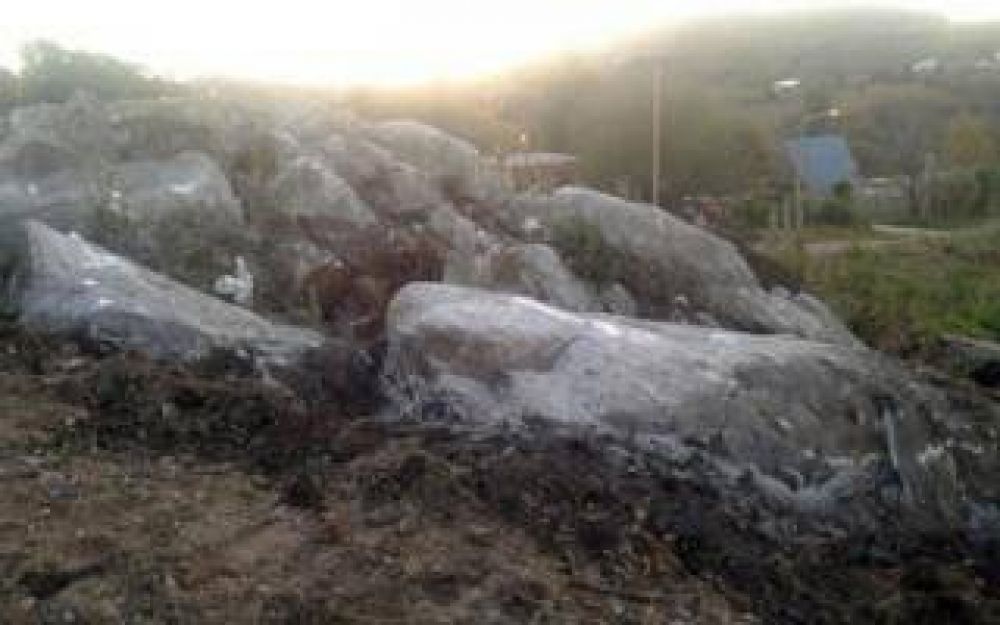 Tandil: 130 familias tomaron terrenos de Villa Cordobita