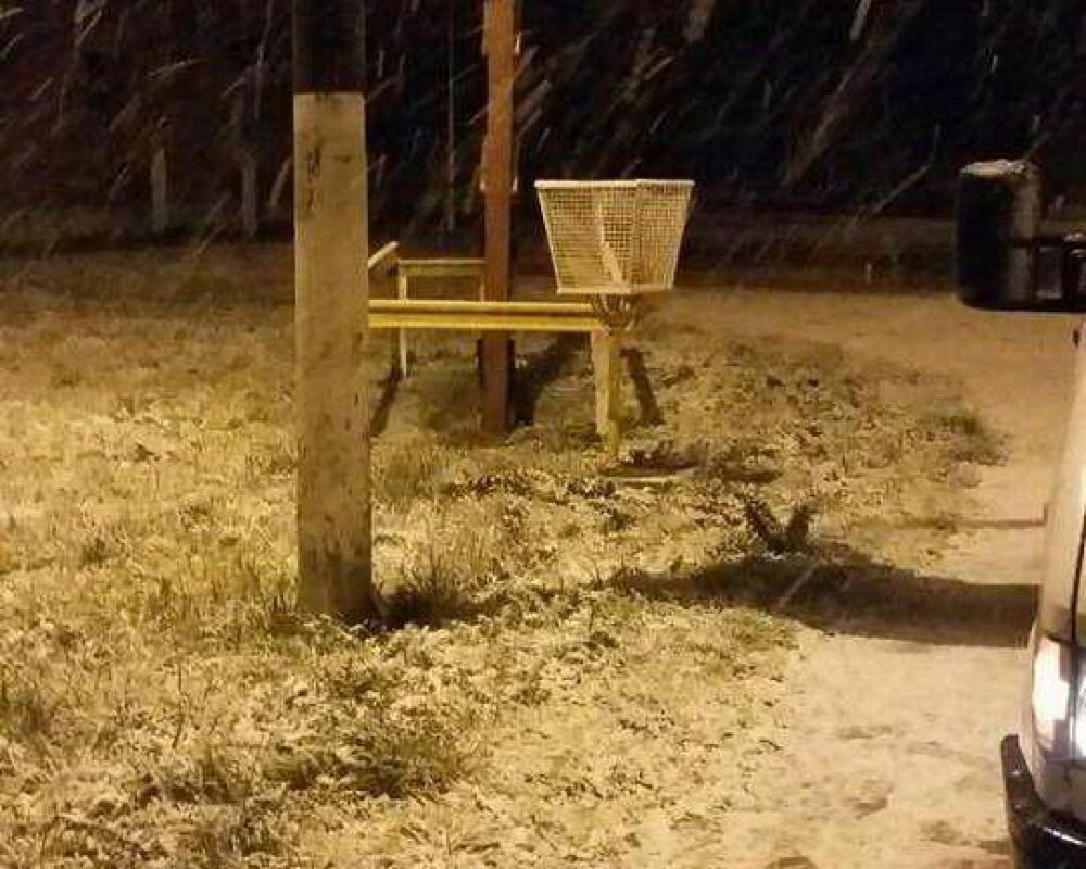 NEV� EN NECOCHEA