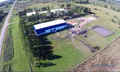 Curuz�: inauguran frigor�fico que subir� un 50% anual el nivel de faena en la provincia