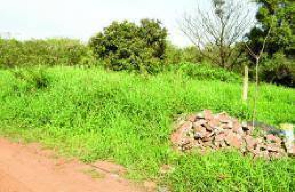 Reclamo vecinal por la erradicaci�n de basural