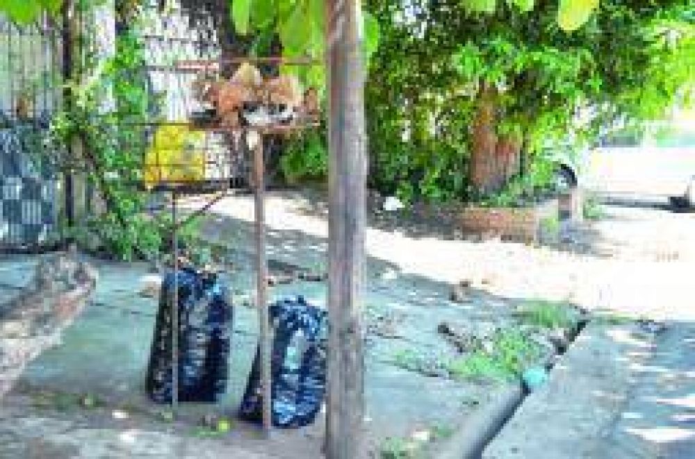 Piden que se recoja a horario la basura