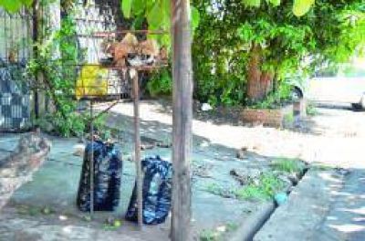 Piden que se recoja a horario la basura