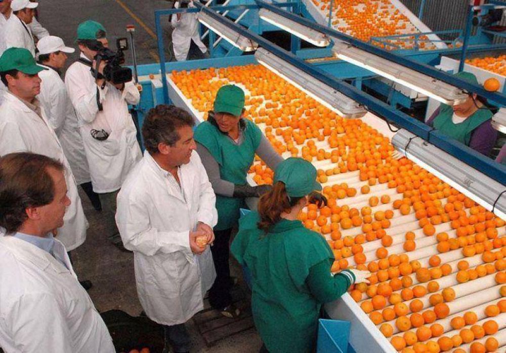 El 80 por ciento de las empresas entrerrianas son Pymes