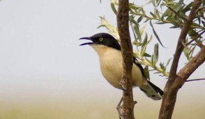 Aumenta la biodiversidad en la Reserva Ecol�gica