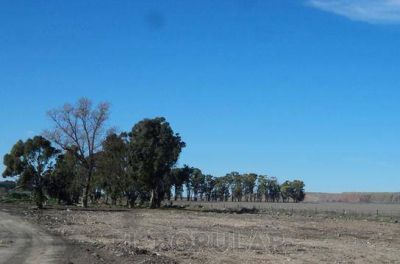 Remediaci�n ambiental en la cava de acceso a L'amal�