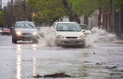 Desde el domingo, llovieron 43,6 mil�metros en Santa Rosa