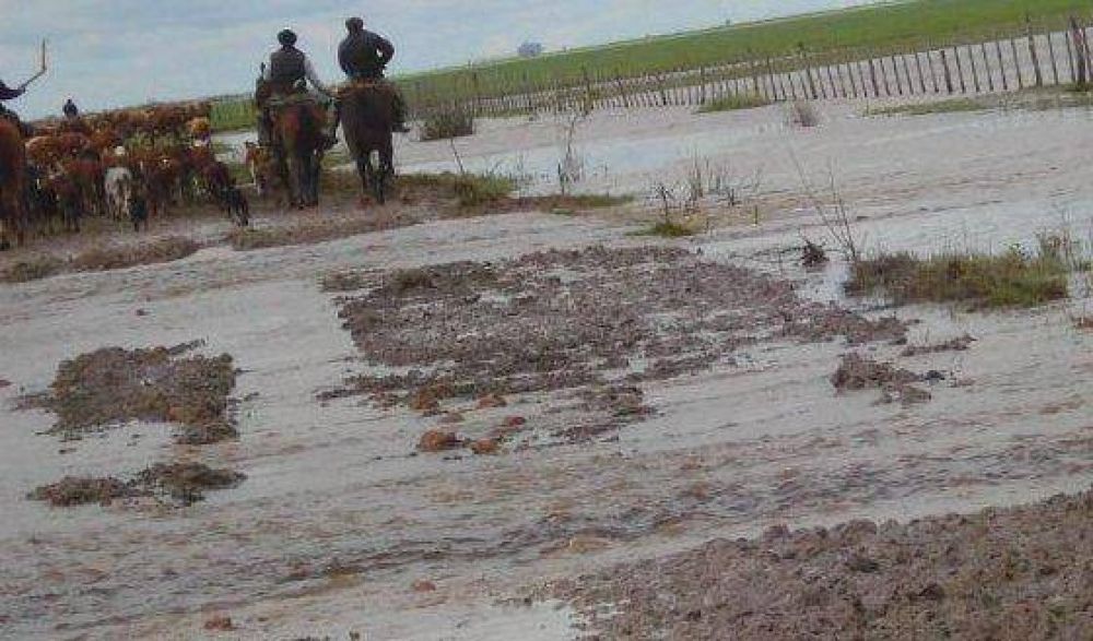 Ruralistas del delta se reunieron con autoridades provinciales tras el reclamo por las inundaciones