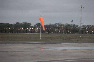 Aeropuerto: tres d�as con operaraci�n limitada por las gaviotas y convocan a expertos