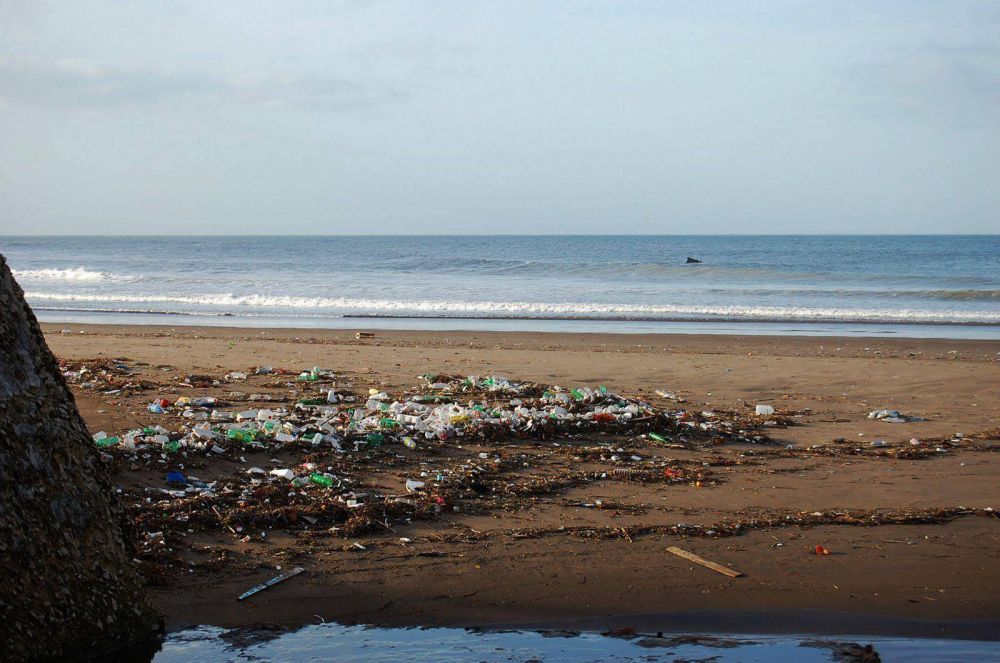 El Concejo aprob� proyectos vinculados con el medio ambiente