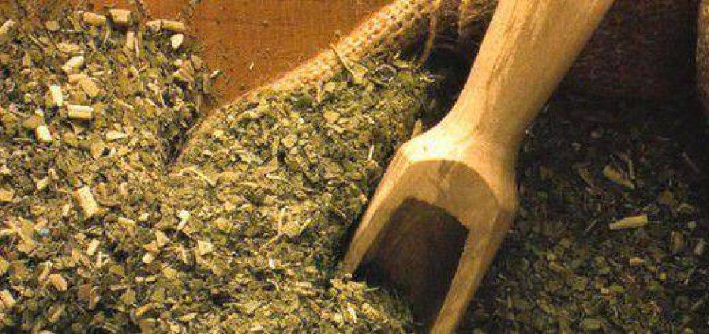 La cosecha de yerba mate supera m�ximos hist�ricos