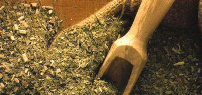 La cosecha de yerba mate supera m�ximos hist�ricos
