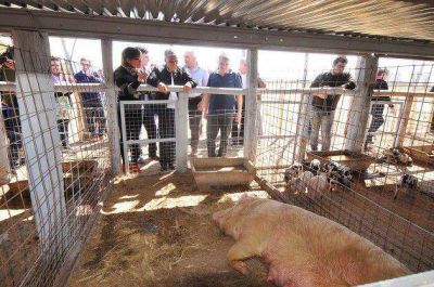 El gobernador Poggi puso en marcha 10 proyectos productivos y de servicios en Uni�n