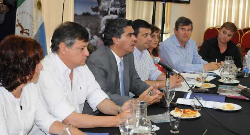 Nueva reunin de la Mesa Nacional Algodonera: el gobernador chaqueo insisti en tomar acciones para combatir el picudo