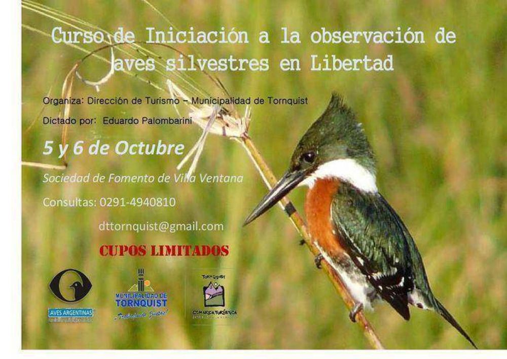 Dictarn un curso de iniciacin a la observacin de aves silvestres en libertad en Villa Ventana