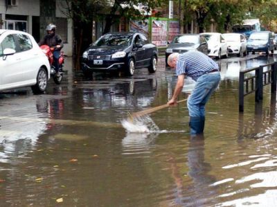 Al menos seis mil usuarios quedaron sin luz por inconvenientes ocasionados por el viento
