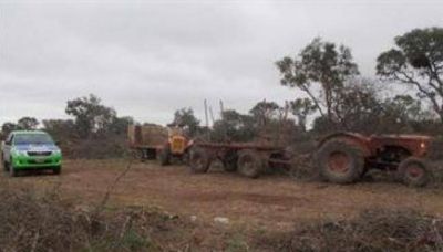 El desmonte no cesa en la provincia