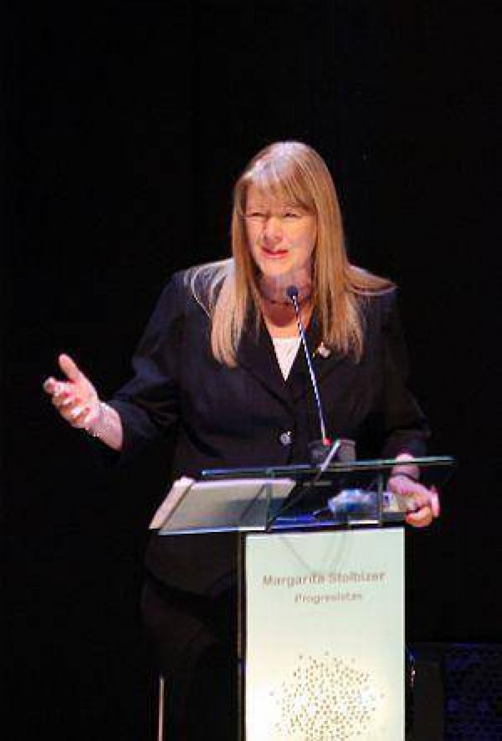 Stolbizer prometi� 