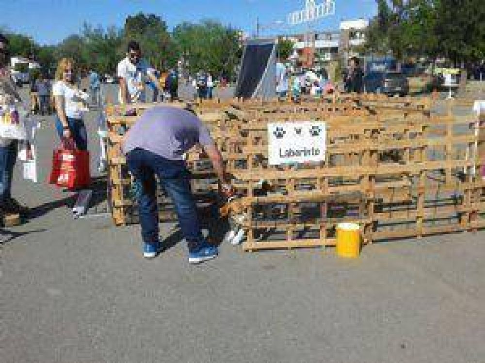 Los perros fueron los grandes protagonistas de la �Canfields�