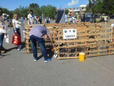 Los perros fueron los grandes protagonistas de la �Canfields�