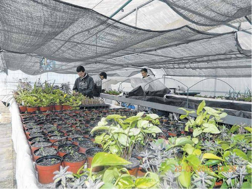 Biof�brica Marista: un paso al frente en materia de biotecnolog�a