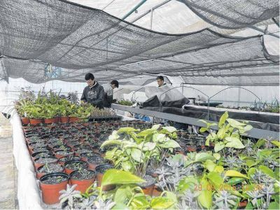 Biof�brica Marista: un paso al frente en materia de biotecnolog�a
