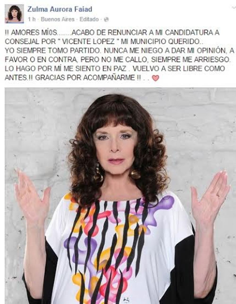 Renunci Zulma Faiad