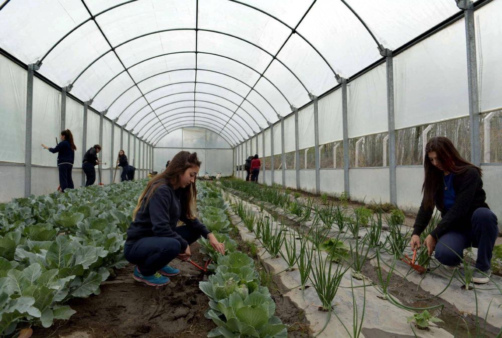 Estudiantes de agricultura ofrecen sus productos