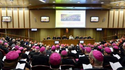 El Papa pide a los obispos no caer en teor�as conspirativas