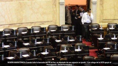 Sorpresas en el Congreso: el massista que se cort� solo y el radical candidato que vot� con los K