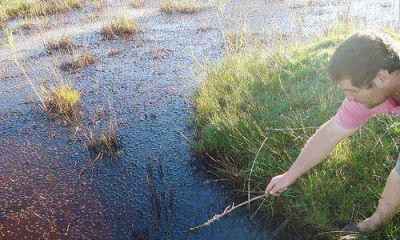 Buscan saber cu�ntos son los afectados por la contaminaci�n