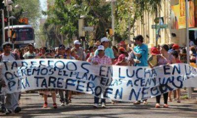 Los tareferos de Ober� podr�an llegar a Posadas con su protesta